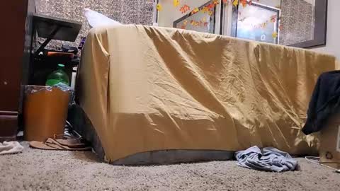 Bootyshows online show from 12/02/25, 12:43