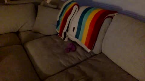 janicepepper online show from 12/18/25, 10:32