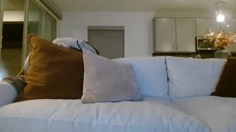 Jason Sweets online show from 01/07/26, 03:09