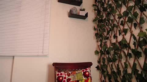 JKing  online show from 12/31/24, 02:51