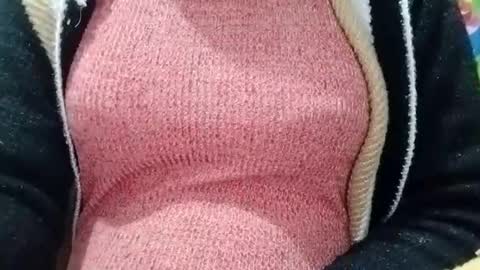 jasspreettt online show from 01/04/25, 05:48