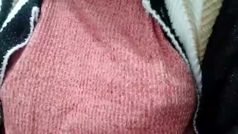 jasspreettt online show from 02/01/25, 01:55