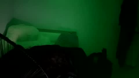 Snapshot of javiricorich chatting on 11/01/25, 12:45 javiSdick online show from 11/01/25, 12:45