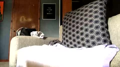 Snapshot of jawssharkparty chatting on 09/10/25, 07:25 Jaws online show from 09/10/25, 07:25