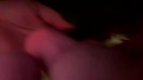 Jaws  online show from 02/21/26, 07:09