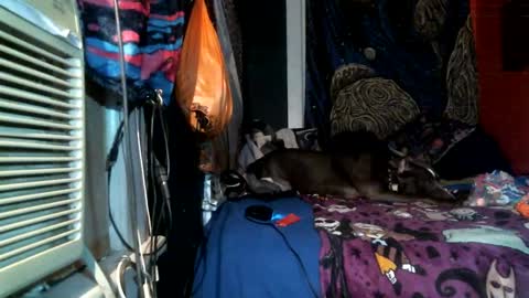 Snapshot of jax_skyfallin chatting on 02/25/25, 04:46 jaxxx666 online show from 02/25/25, 04:46