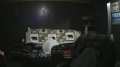 Snapshot of jaycanbefun chatting on 09/21/25, 02:57 Grand Zaddy or Jay its casual online show from 09/21/25, 02:57