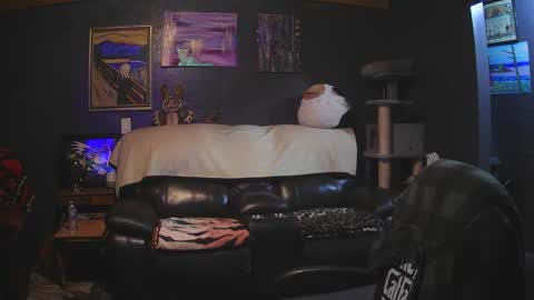 Grand Zaddy or Jay its casual online show from 03/15/26, 05:13