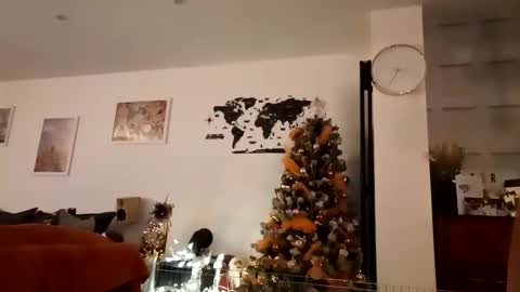 jaycat73 online show from 12/29/24, 01:34