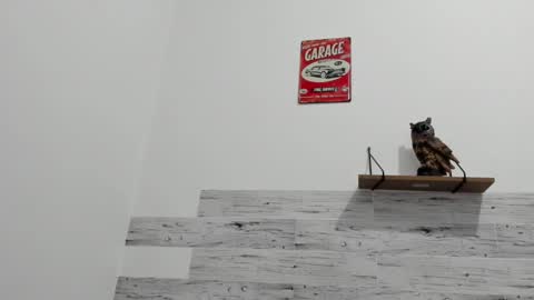 Jaycreedd online show from 03/09/25, 04:27