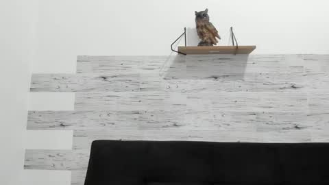 Jaycreedd online show from 09/10/25, 03:39