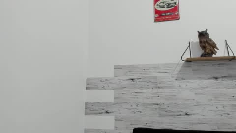 Jaycreedd online show from 09/16/25, 11:50