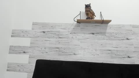 Jaycreedd online show from 09/21/25, 12:12