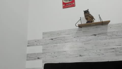 Jaycreedd online show from 10/05/25, 01:26