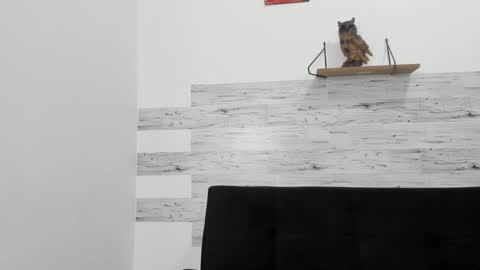 Jaycreedd online show from 10/06/25, 02:53