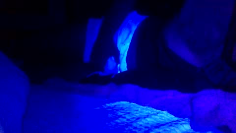 Snapshot of jaysobricked chatting on 02/07/25, 06:35 Jaysobricked online show from 02/07/25, 06:35