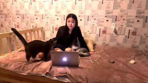 jeannettavidro online show from 11/18/25, 03:05