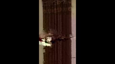jedpiazza163893 online show from 05/25/26, 07:36