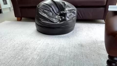 Snapshot of jeeves200 chatting on 02/25/25, 03:16 Sensual Jeeves online show from 02/25/25, 03:16