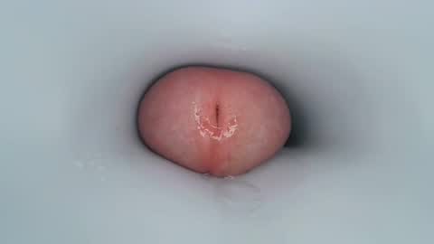 jeffrodgerschaturbat online show from 12/30/24, 11:37