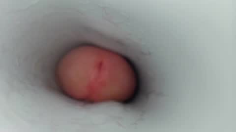 jeffrodgerschaturbat online show from 01/17/26, 07:46