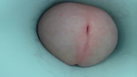 jeffrodgerschaturbat online show from 02/23/26, 06:11