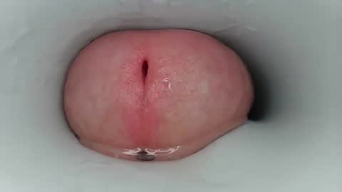 jeffrodgerschaturbat online show from 03/17/26, 03:44