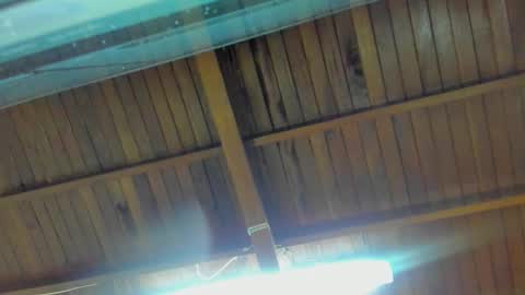 jeicob gagnon online show from 09/15/25, 02:00