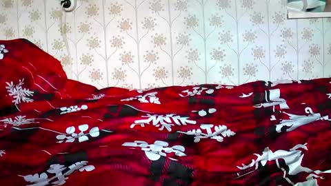 jellykulli online show from 12/31/24, 09:31