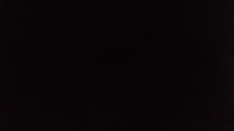 Jelly online show from 01/04/25, 08:16