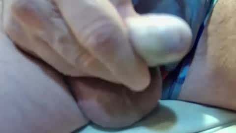 Jelly online show from 01/23/25, 02:33