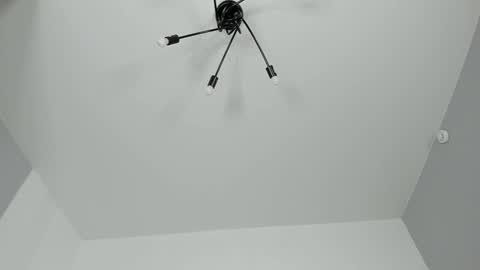 Dolly online show from 02/02/25, 07:25