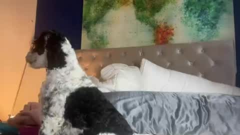 jenny1777 online show from 06/21/26, 01:08