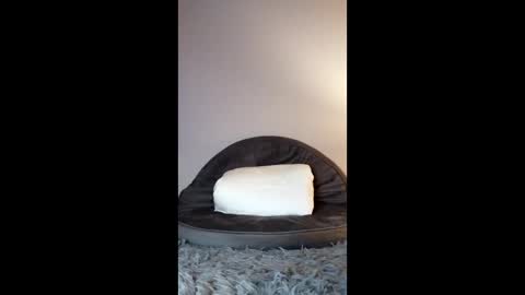 Jenny Star online show from 02/08/26, 05:05