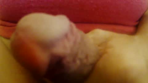 JoeEBear online show from 12/13/24, 06:59