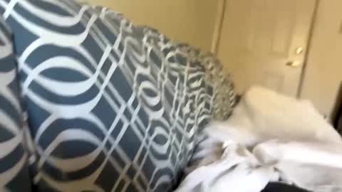 Jerkstar16 online show from 12/05/24, 06:00