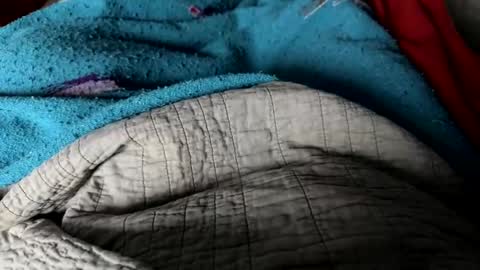 Jeremys room chill and puff one enjoy online show from 12/25/24, 02:34