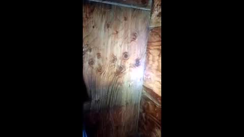 jessemwl8 online show from 03/26/26, 11:16