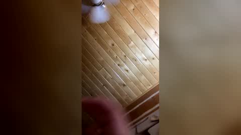 jessicajames0101 online show from 05/29/26, 10:57