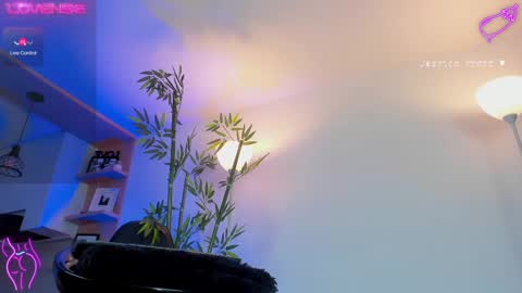  Jessica Pratt  IG jessicaxpratt online show from 02/25/25, 11:11