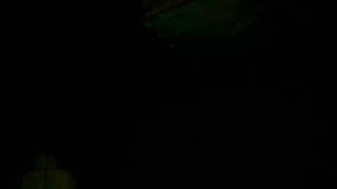 dovedianna online show from 12/16/24, 04:02