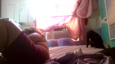 Snapshot of jessicarabbits4 chatting on 07/01/26, 12:40 dovedianna online show from 07/01/26, 12:40