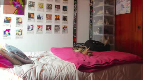 Your Sweet Angel online show from 02/12/26, 07:09