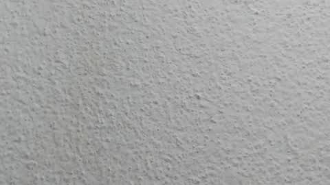 JESSY CORTES online show from 04/12/26, 05:12