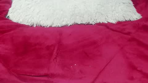 Snapshot of jessymoon00 chatting on 11/25/25, 12:43 jessy online show from 11/25/25, 12:43