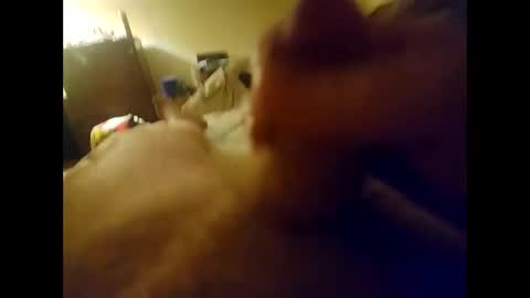 jhens123 online show from 01/21/25, 04:10