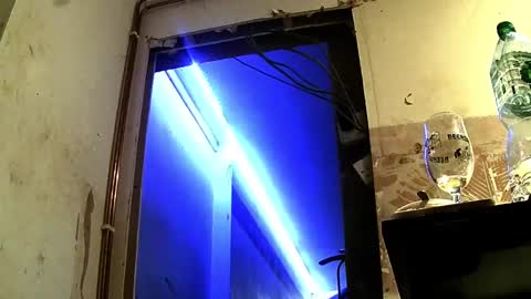 jhkhjku538466 online show from 02/17/25, 04:09