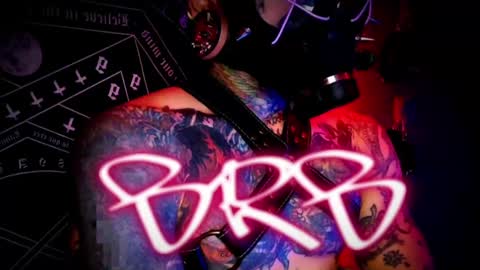 jhonny_ackerman online show from 12/11/24, 09:12