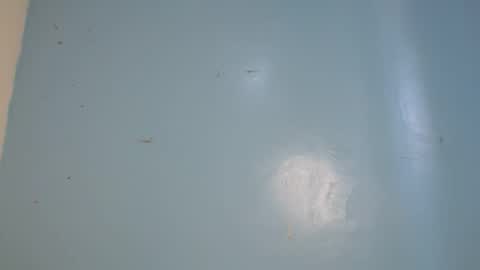 jia lisa online show from 02/14/26, 09:17