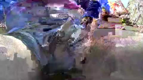 jimii281 online show from 01/12/26, 09:53